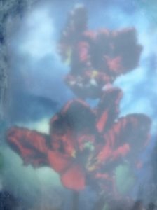 Der Duft der Blume, 2014